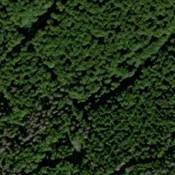 Satellite imagery of Diebskopf, DE