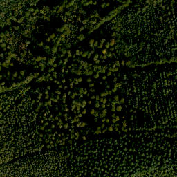 Satellite imagery of Gönzstein, DE