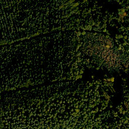 Satellite imagery of Gönzstein, DE