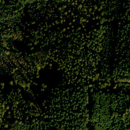 Satellite imagery of Gönzstein, DE