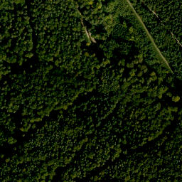 Satellite imagery of Geisbuckel, DE