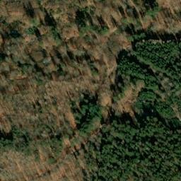 Satellite imagery of Wolfswinkelberg, DE
