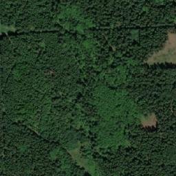 Satellite imagery of (V Bledulích) [Krucemburk-Staré Ransko], CZ