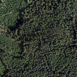 Satellite imagery of Sockeye Point, CA