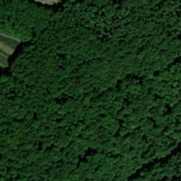 Satellite imagery of Taubeernheide, DE