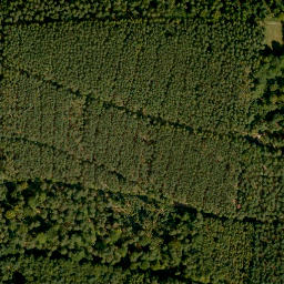 Satellite imagery of Gönzstein, DE