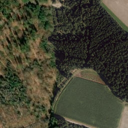 Satellite imagery of Wolfswinkelberg, DE