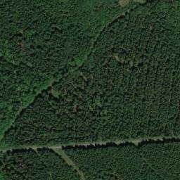 Satellite imagery of (V Bledulích) [Krucemburk-Staré Ransko], CZ