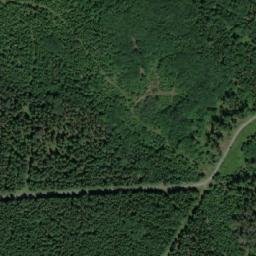 Satellite imagery of (V Bledulích) [Krucemburk-Staré Ransko], CZ