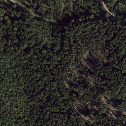 Satellite imagery of Pleysteiner Sulzberg, DE