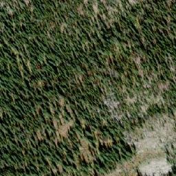 Satellite imagery of Balfour Knob, CA