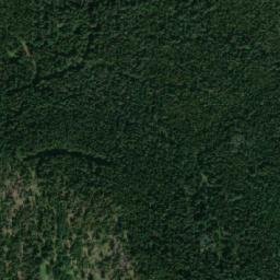 Satellite imagery of Saskatoon Mountain, CA