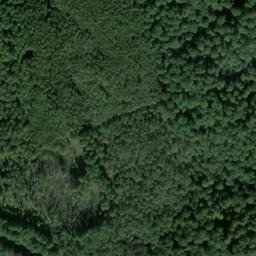 Satellite imagery of Kuhkopf, DE