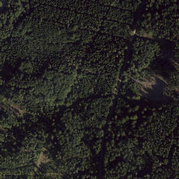 Satellite imagery of Pleysteiner Sulzberg, DE