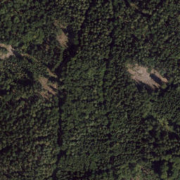 Satellite imagery of Pleysteiner Sulzberg, DE