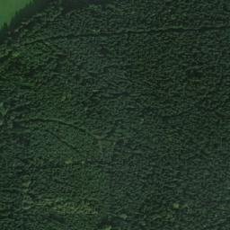 Satellite imagery of Strom [Daňkovice], CZ