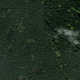Satellite imagery of Strom [Daňkovice], CZ