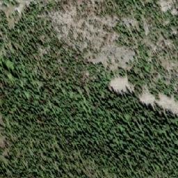 Satellite imagery of Mount Flynn, CA