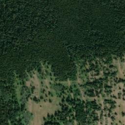 Satellite imagery of Saskatoon Mountain, CA