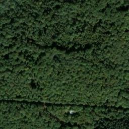 Satellite imagery of Kuhkopf, DE