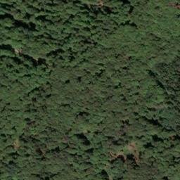 Satellite imagery of Langenberg, DE