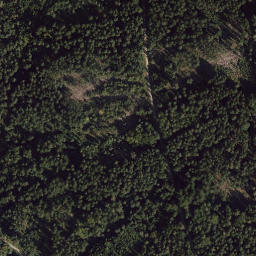 Satellite imagery of Pleysteiner Sulzberg, DE
