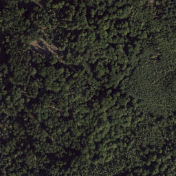 Satellite imagery of Pleysteiner Sulzberg, DE