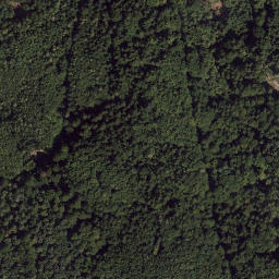 Satellite imagery of Pleysteiner Sulzberg, DE