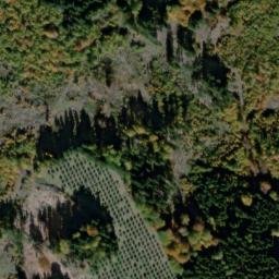 Satellite imagery of Šibeník [Přimda], CZ