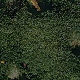 Satellite imagery of Výhled [Stráž u Tachova], CZ