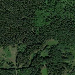 Satellite imagery of (Řezníkův les) [Havlíčkova Borová], CZ