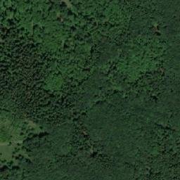 Satellite imagery of (Řezníkův les) [Havlíčkova Borová], CZ