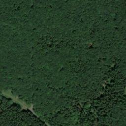 Satellite imagery of (Řezníkův les) [Havlíčkova Borová], CZ