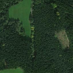 Satellite imagery of Strom [Daňkovice], CZ