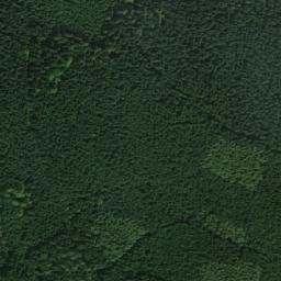 Satellite imagery of Strom [Daňkovice], CZ