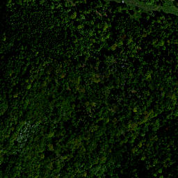 Satellite imagery of survey_point, PL