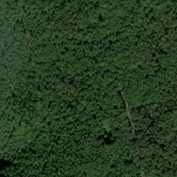 Satellite imagery of Kuhkopf, DE