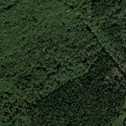 Satellite imagery of Kuhkopf, DE