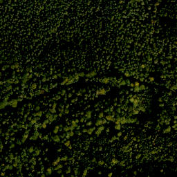 Satellite imagery of Winkelberg, DE