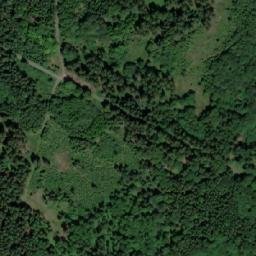 Satellite imagery of (Řezníkův les) [Havlíčkova Borová], CZ