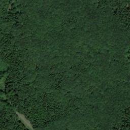 Satellite imagery of (Řezníkův les) [Havlíčkova Borová], CZ