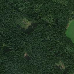 Satellite imagery of Strom [Daňkovice], CZ