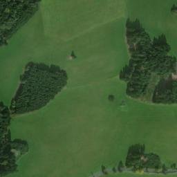 Satellite imagery of Strom [Daňkovice], CZ