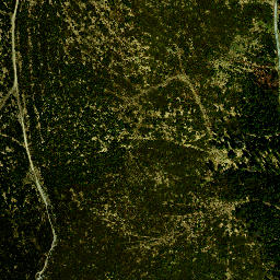 Satellite imagery of Znak pomiarowy GUGiK, PL
