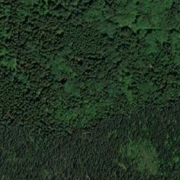 Satellite imagery of (Řezníkův les) [Havlíčkova Borová], CZ