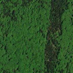 Satellite imagery of Žákova hora, CZ