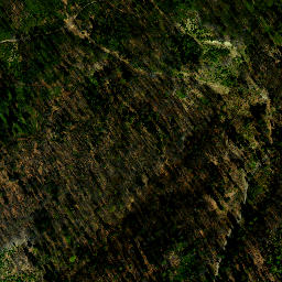 Satellite imagery of Znak pomiarowy GUGiK, PL