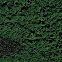 Satellite imagery of 41, BE