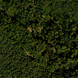 Satellite imagery of Winkelberg, DE