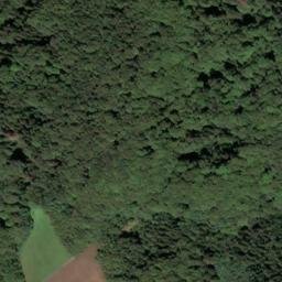Satellite imagery of Schweinsberg, DE
